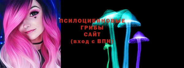 тгк Алзамай