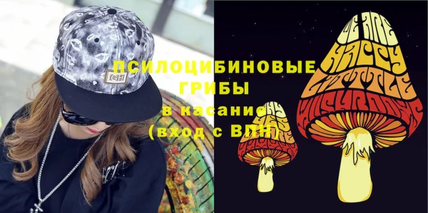 тгк Алзамай