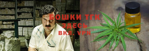 тгк Алзамай