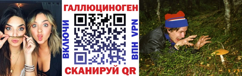 Псилоцибиновые грибы прущие грибы  как найти   Павловский Посад 